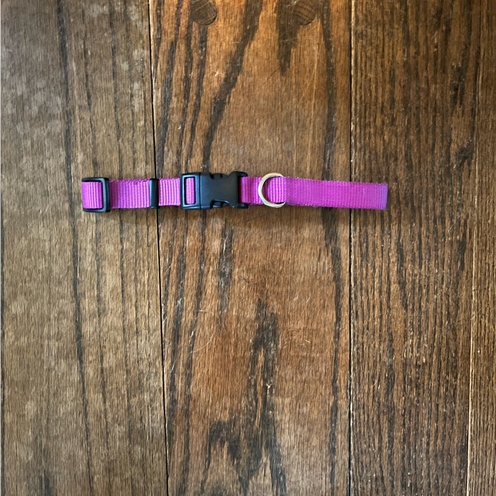Dog Leash